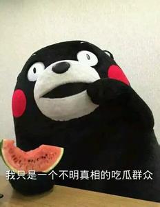 熊本熊表情包v2.0绿色纯净版