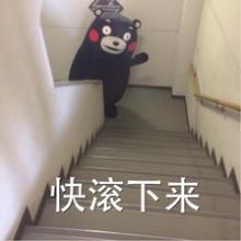 熊本熊表情包v2.0绿色纯净版