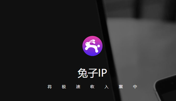 兔子IP电脑版v4.5纯净版