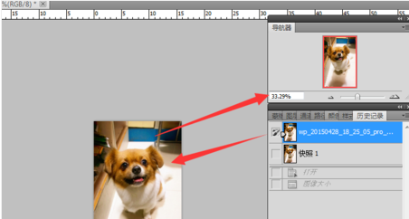 Adobe Photoshop CS6 图片大小调整（PS）课程