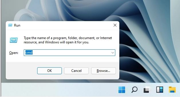 Windows 11ip地址在哪儿看？Windows 11查询本机地址的办法